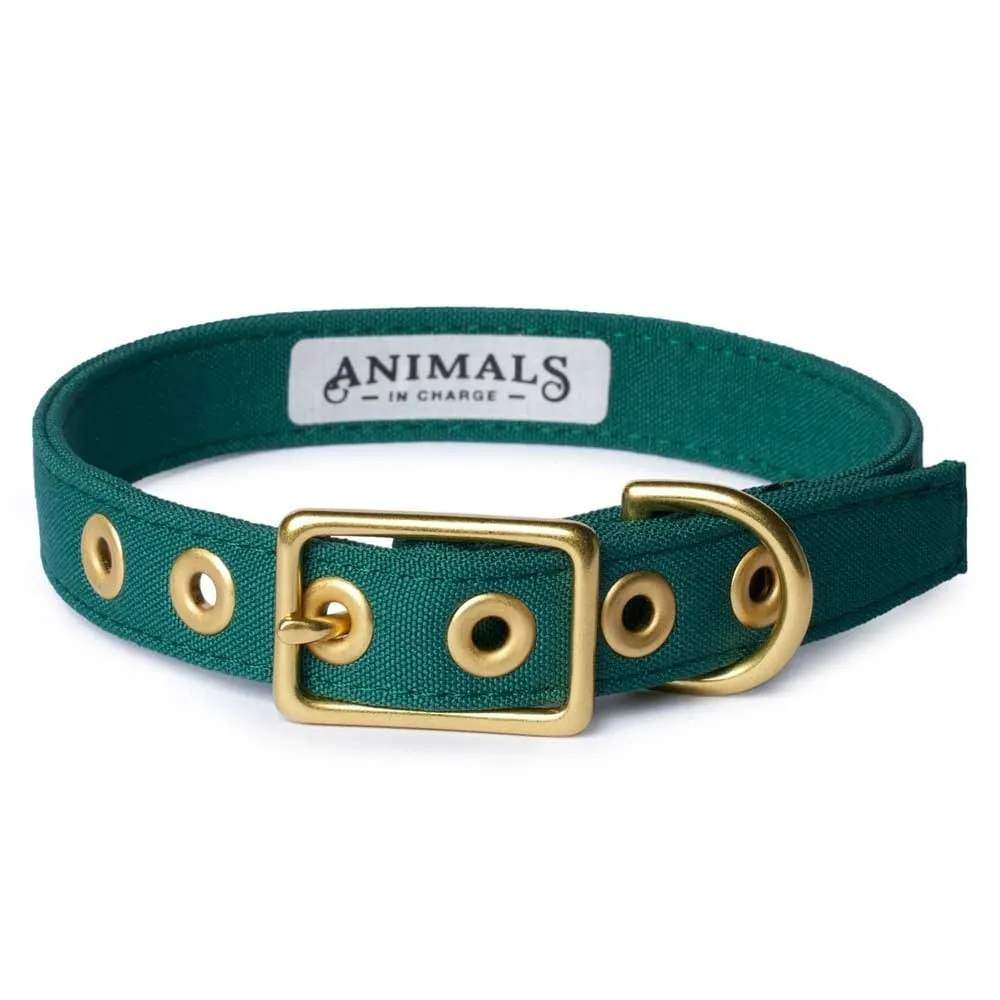 Animals In Charge All Weather Dog Collar - Forest Green Brass