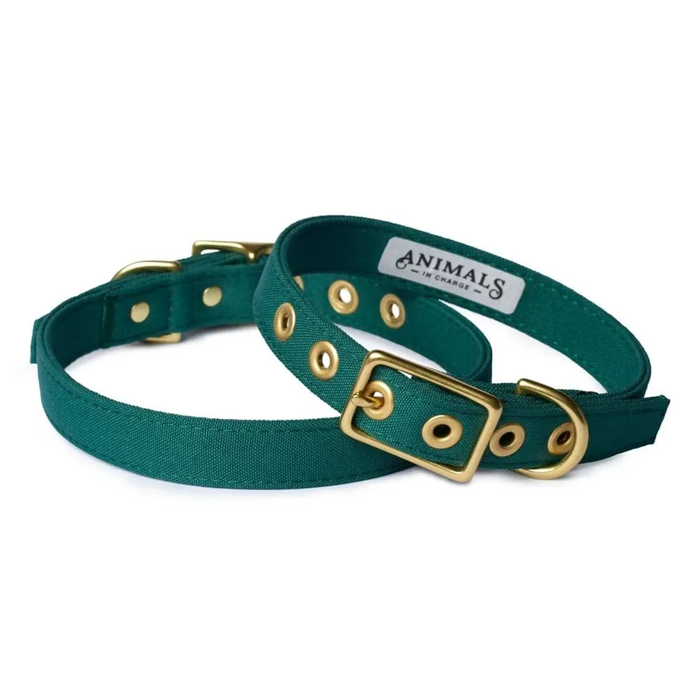 Animals In Charge All Weather Dog Collar - Forest Green Brass