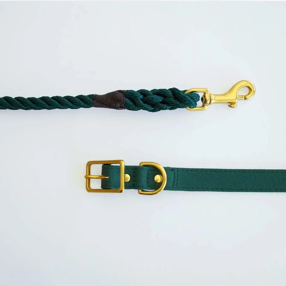 Animals In Charge All Weather Dog Collar - Forest Green Brass