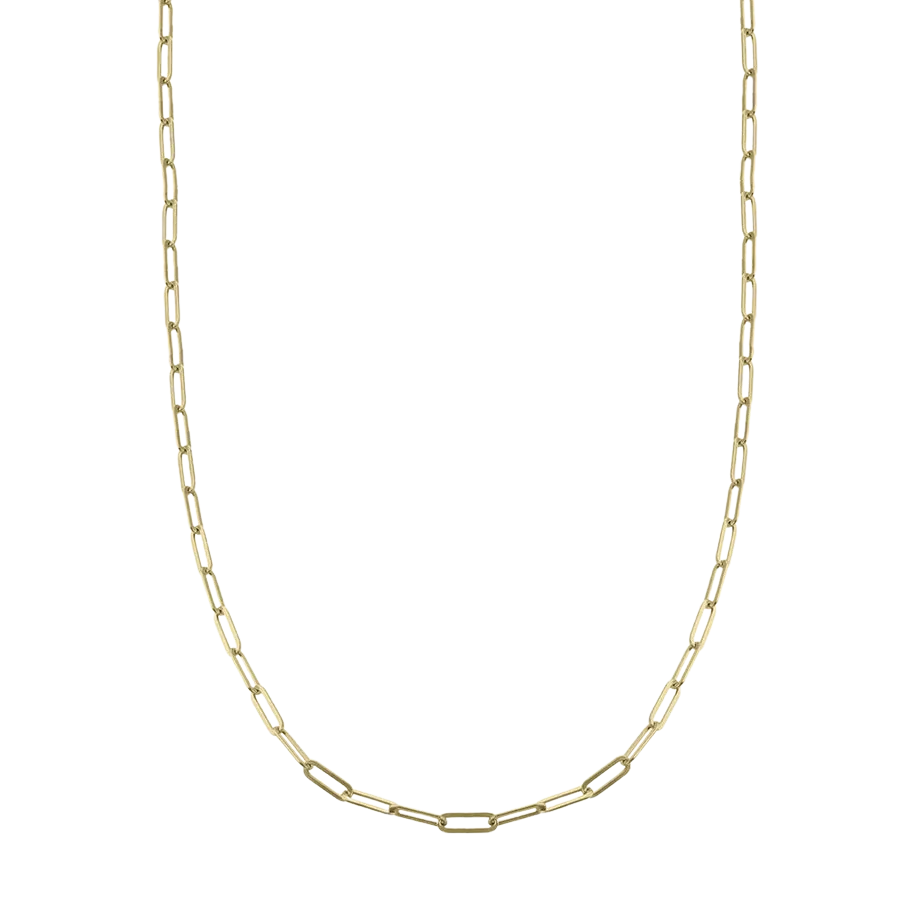 Dalila Chain Link Gold Necklace