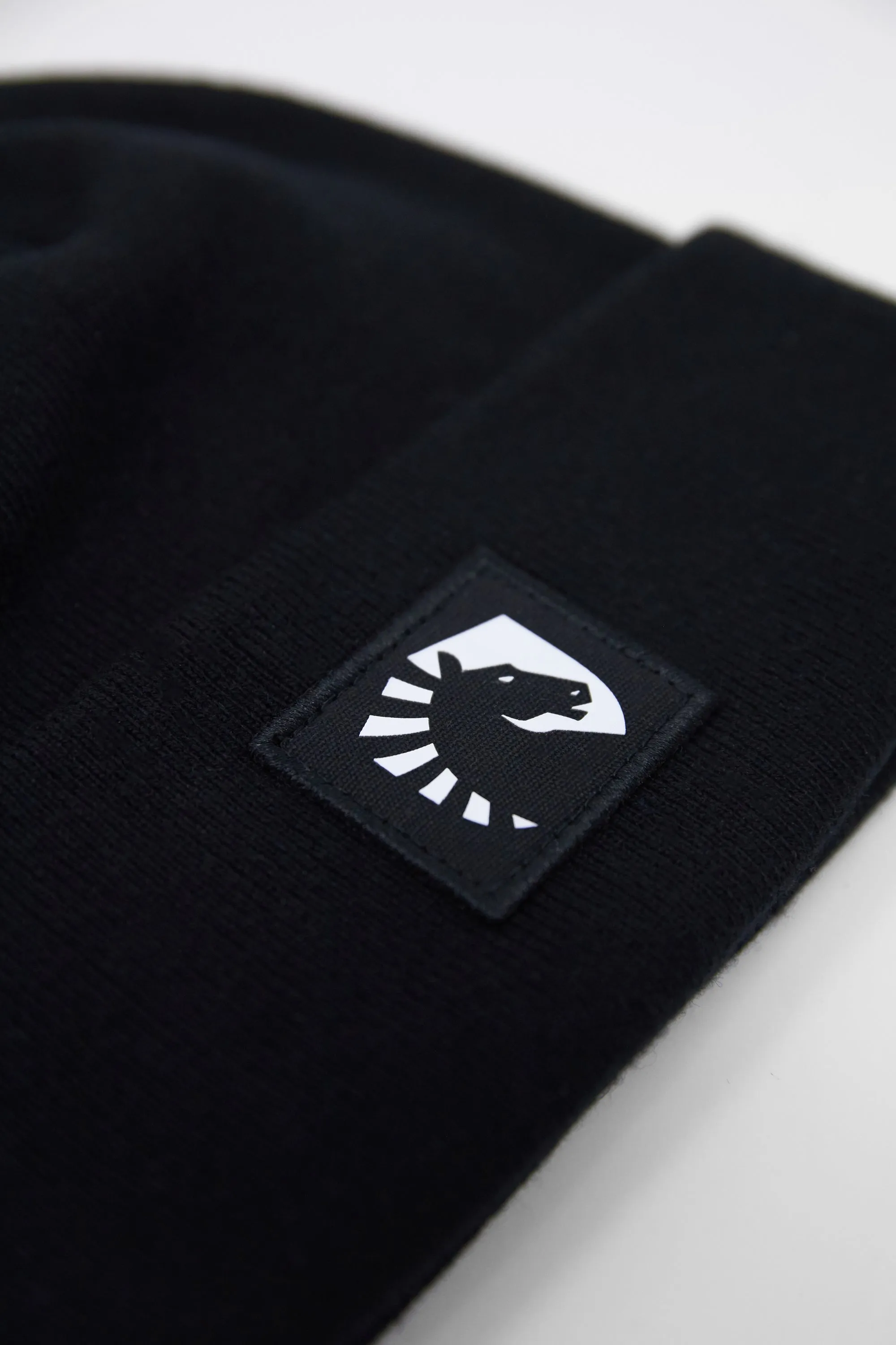 LIQUID CREST BEANIE