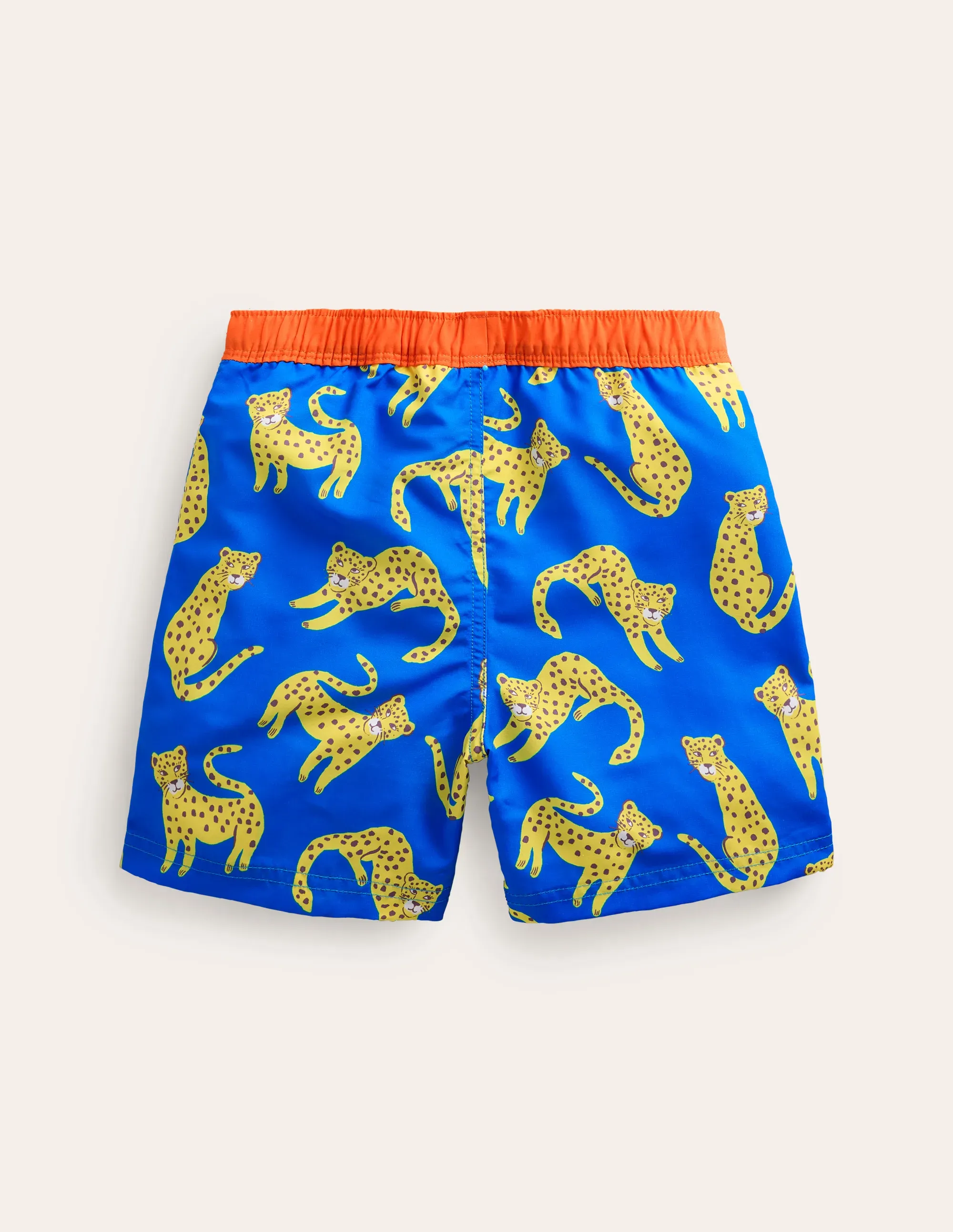 Swim Shorts