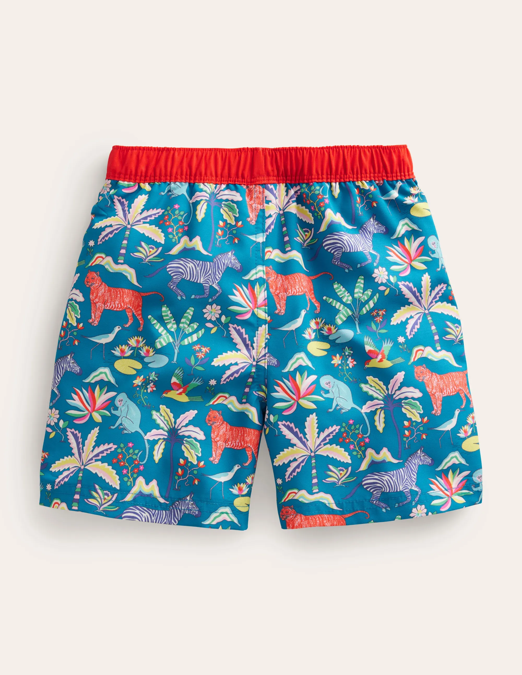 Swim Shorts